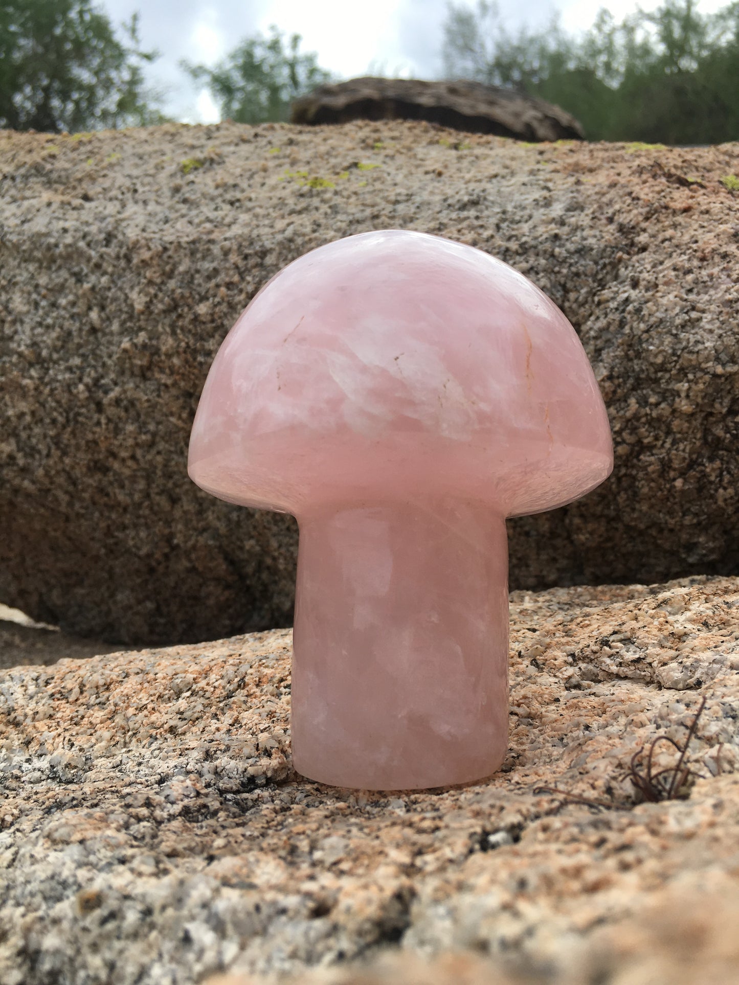 Rose Quartz Mushroom