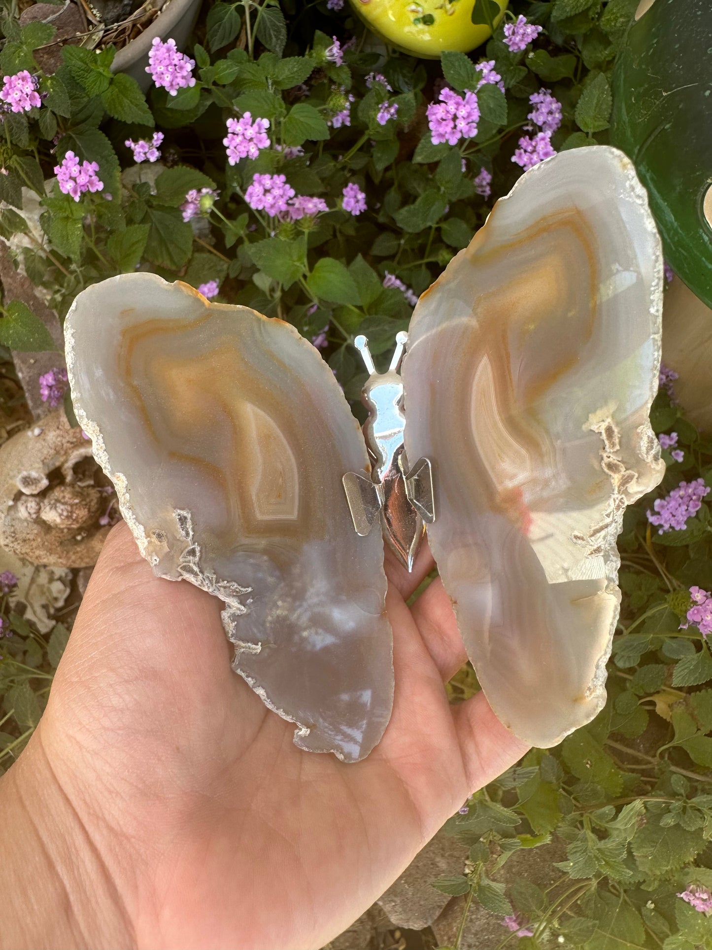 Butterfly Agate