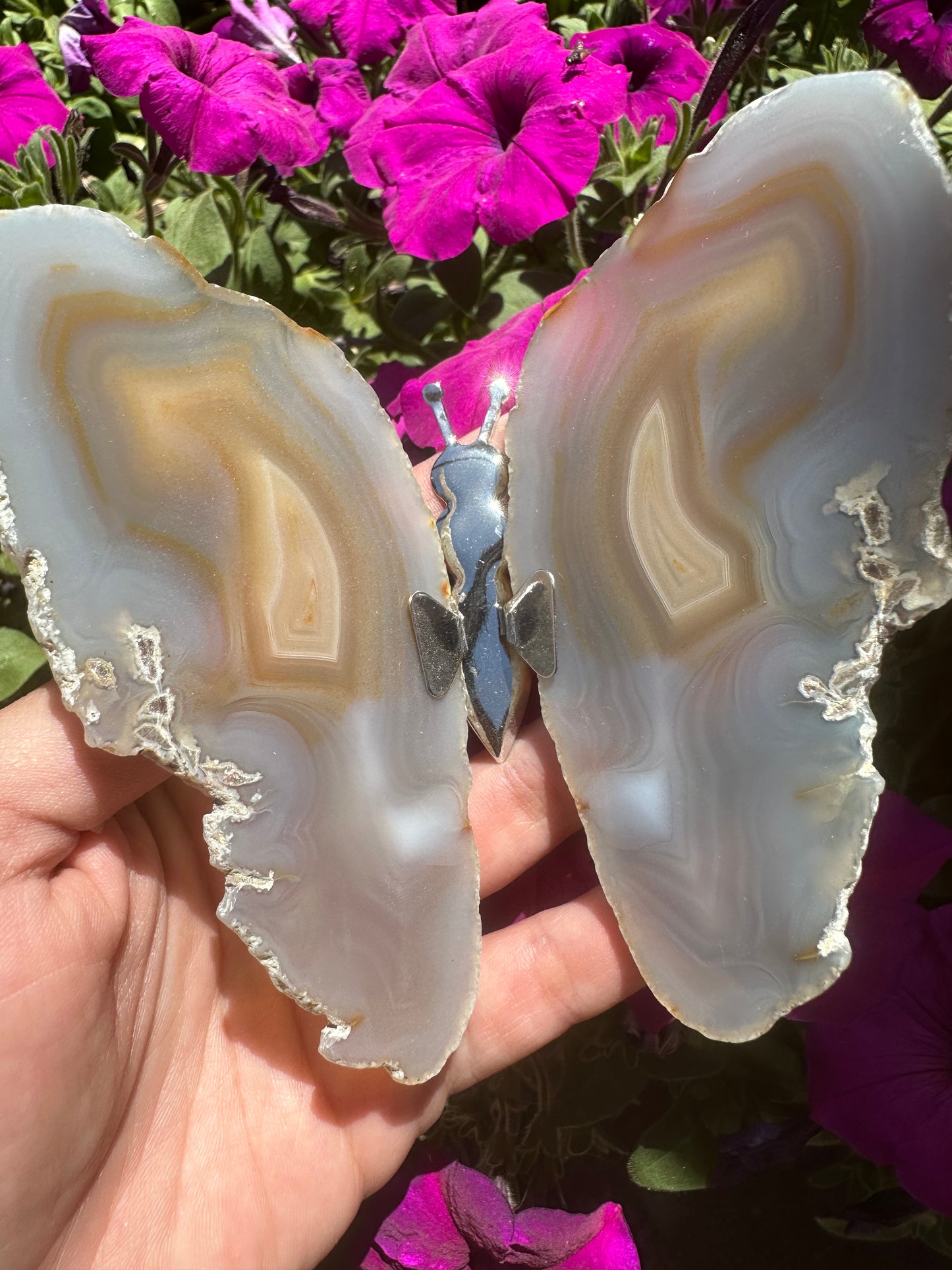 Butterfly Agate