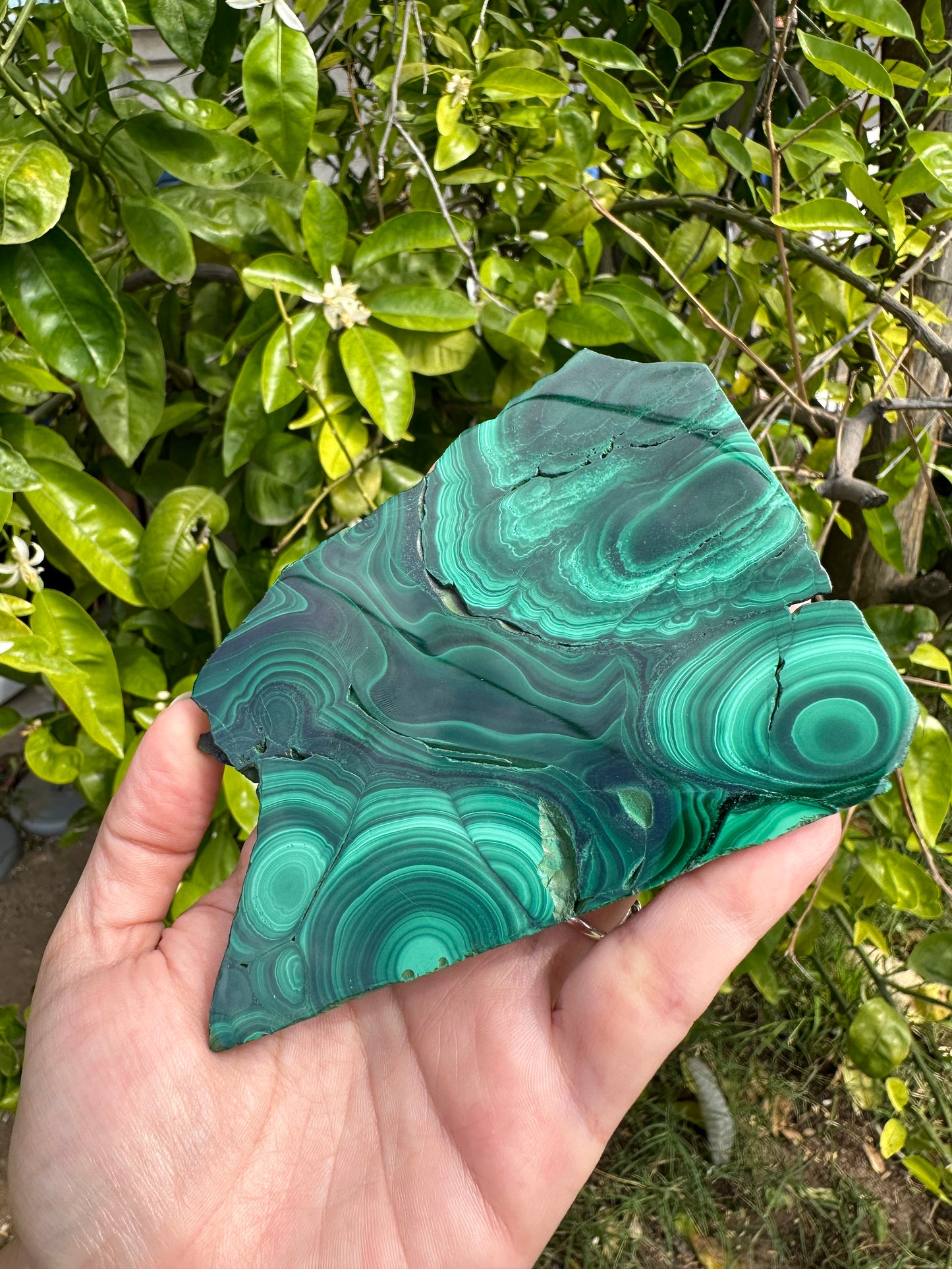 Slabbed Malachite