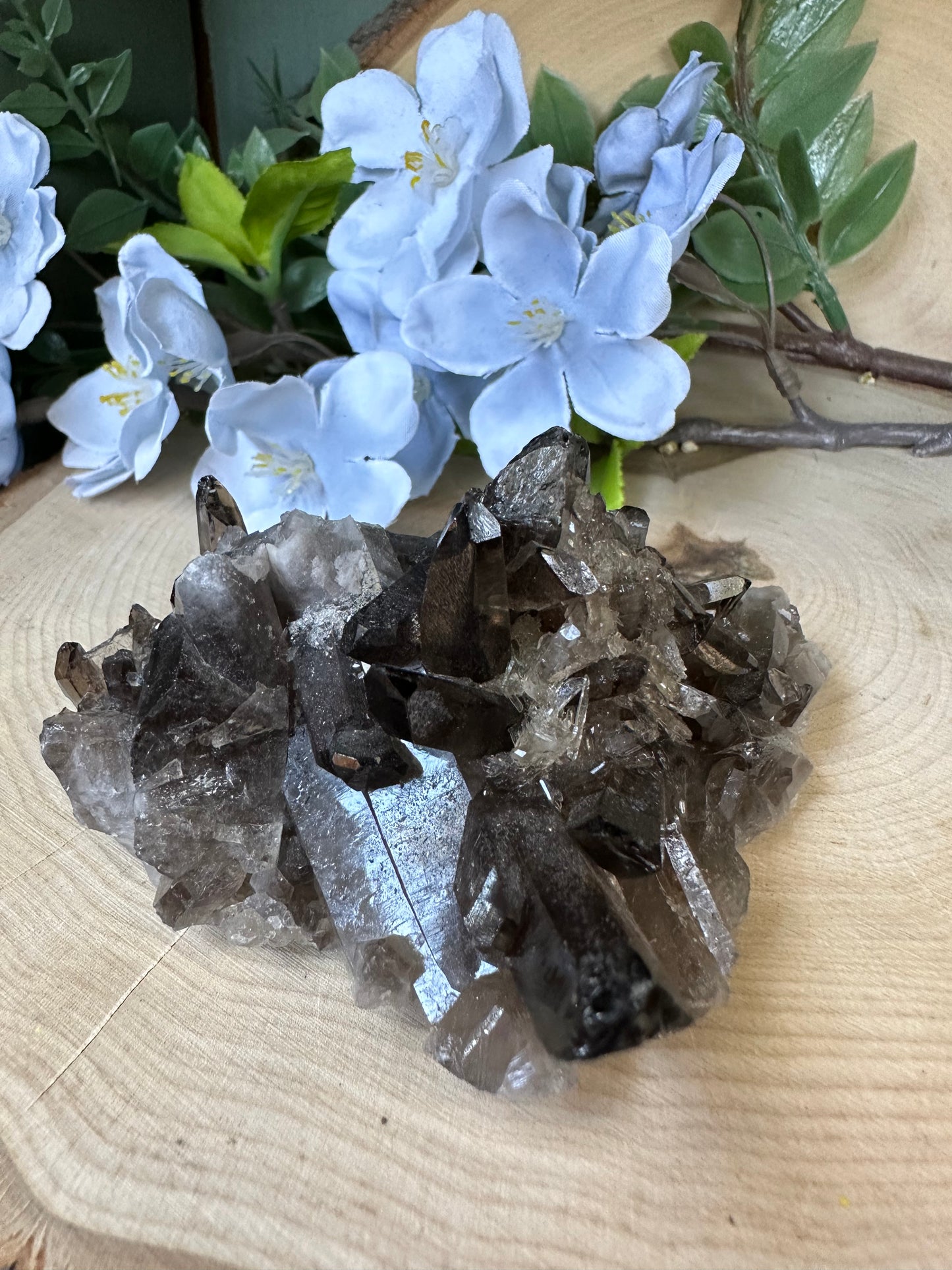 Smoky Quartz Cluster