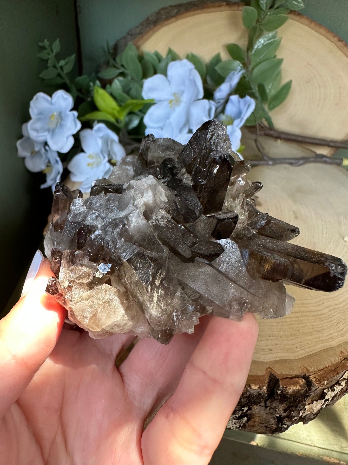 Smoky Quartz Cluster