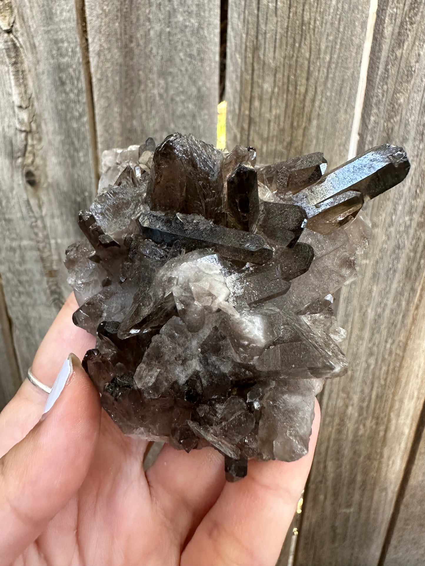 Smoky Quartz Cluster