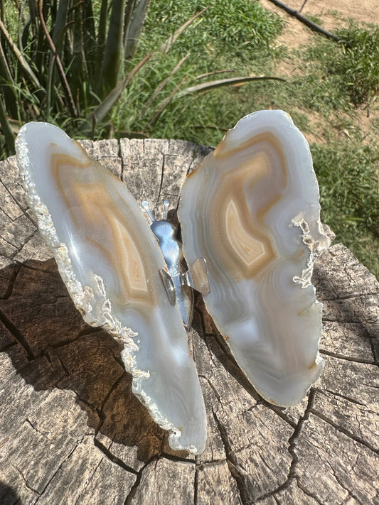 Butterfly Agate